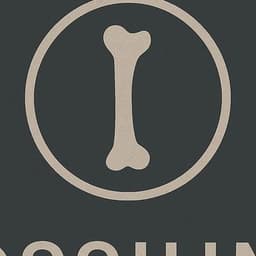 Logo OSSIUM